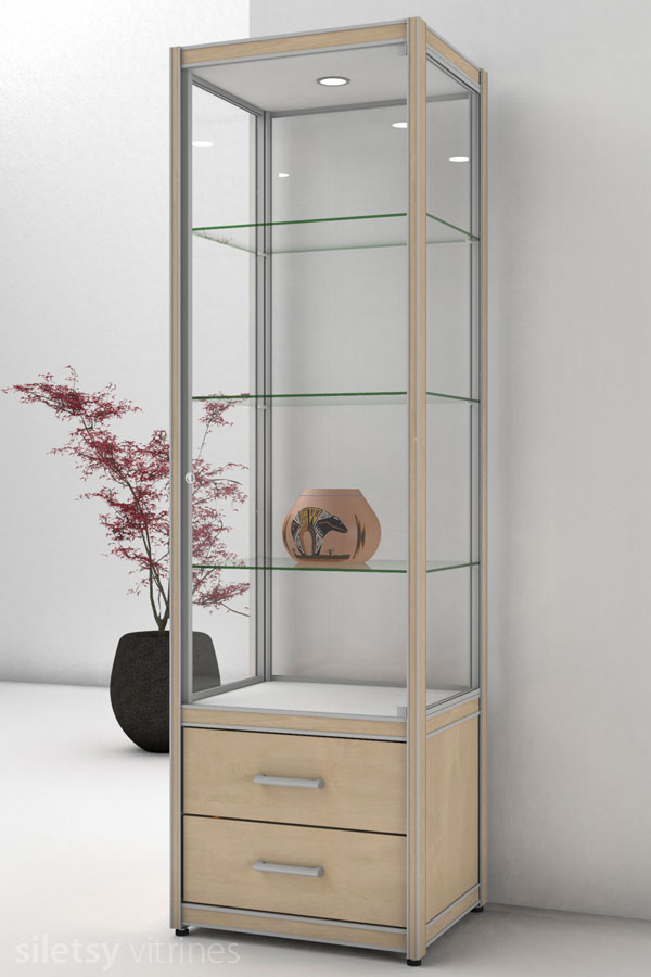 Vitrinekast FX-06/C met laden-onderkast 60x49x200cm
